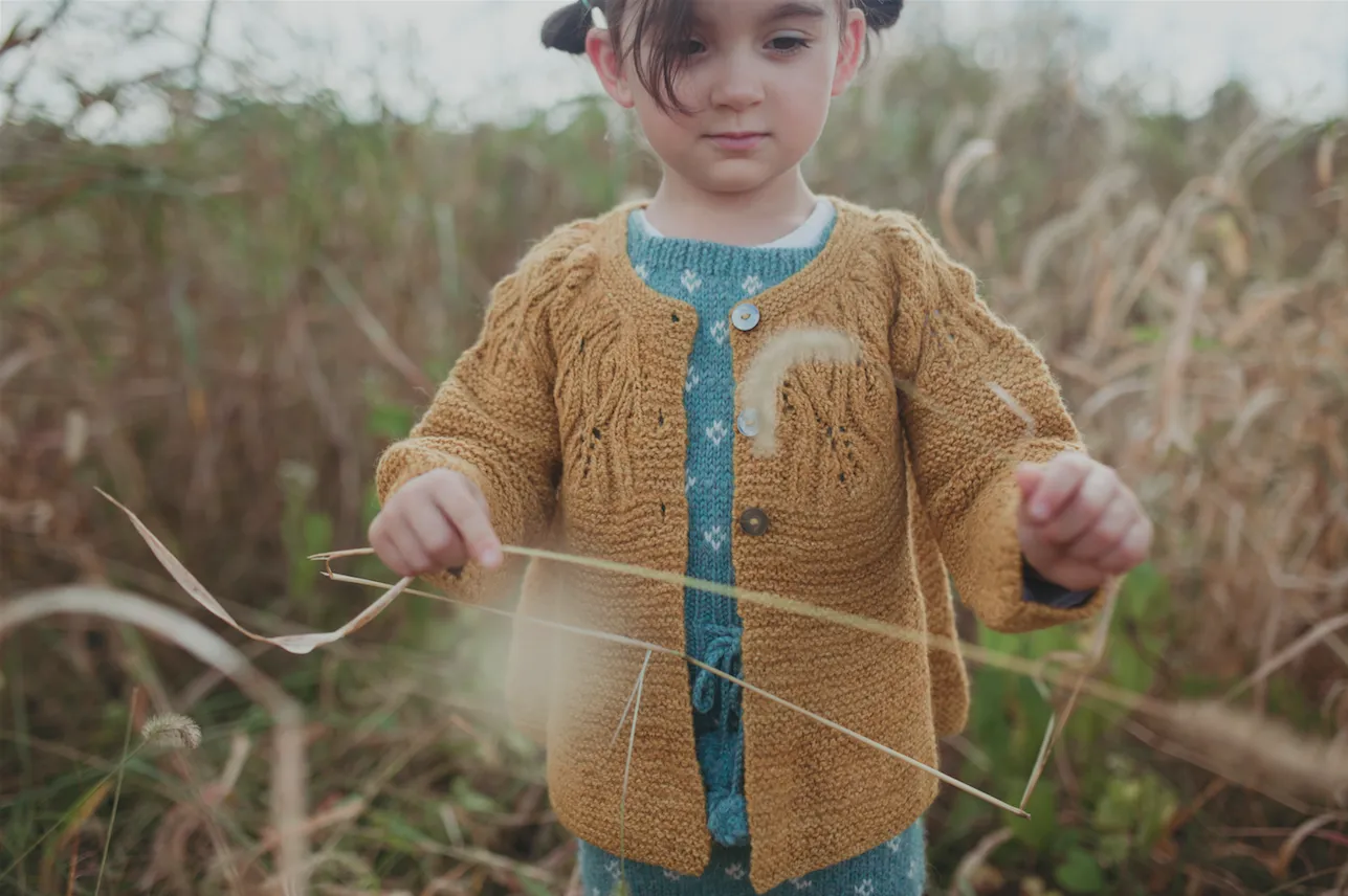 Buisson Cardigan - Plant Dyed