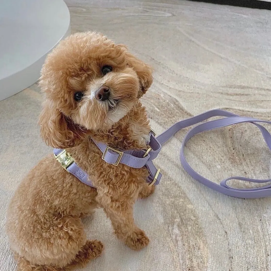 Purple Lilac Harness