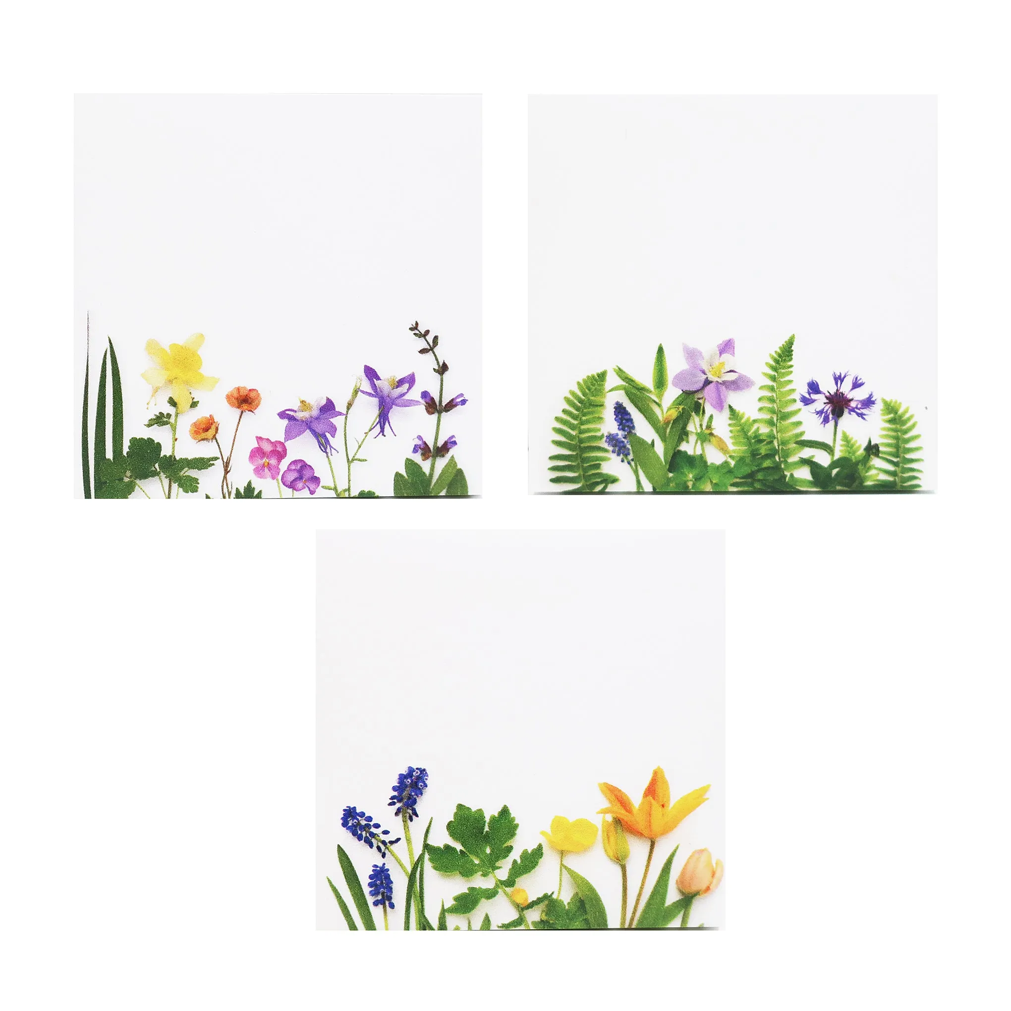 Set of 3 Botanical Photography Sticky Note Set in Rainbows and Greenery